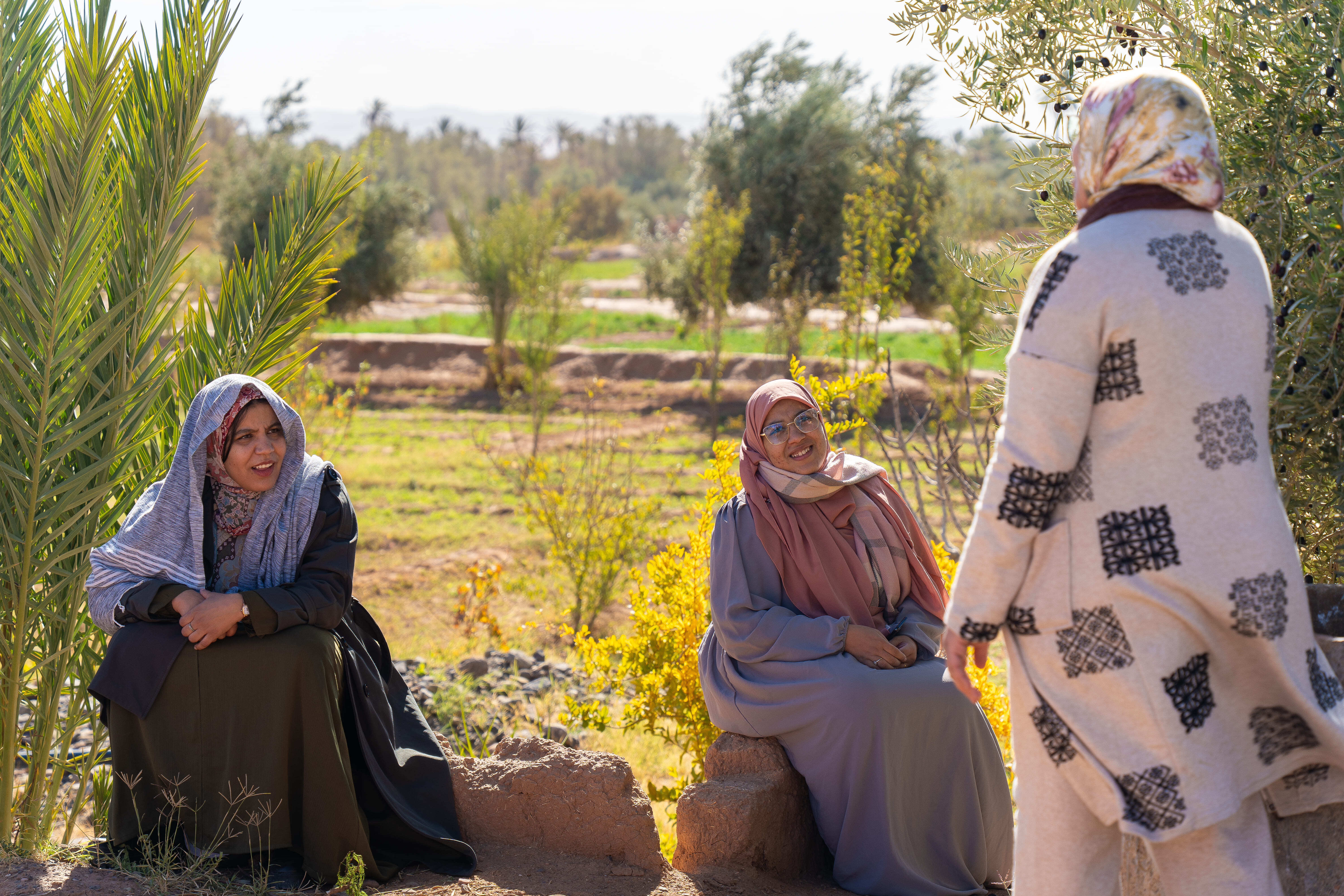 Maroc : L’élevage comme levier d’émancipation avec l’Association Rosa